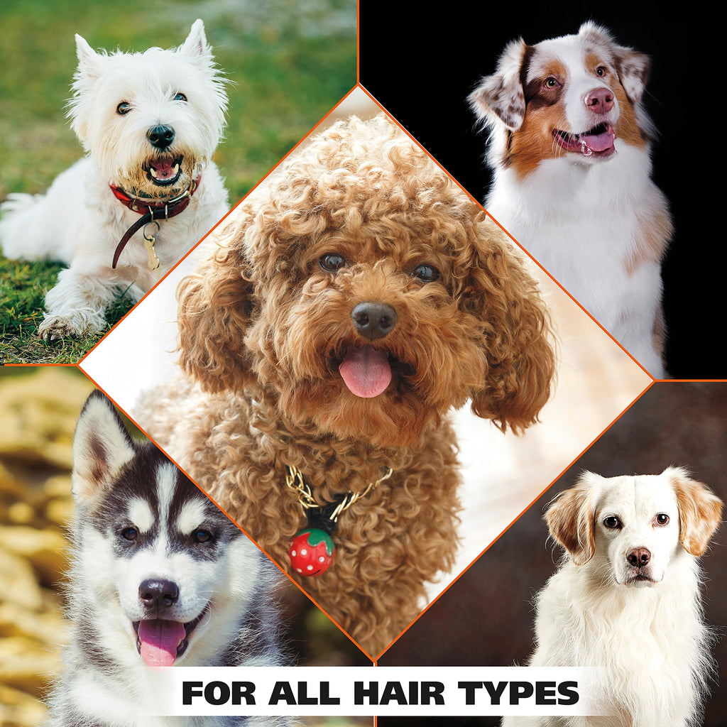 Dry Skin & Itch Relief Pet Shampoo for Dogs – Oatmeal Formula with Coconut Lime